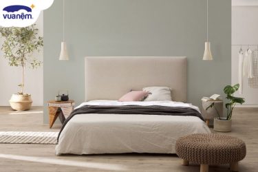 drap giường 1m8
