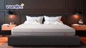 Top 5 mẫu nệm cho người dễ dị ứng không nên bỏ qua