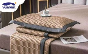 So sánh chiếu điều hòa và chiếu trúc: Chiếu nào tốt hơn?