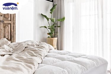topper lông vũ nhân tạo và tự nhiên