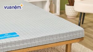 Bảng giá đệm bông ép 9cm chi tiết, mới cập nhật 2025