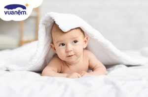 Top 5 mẫu chăn đông cho bé đáng mua nhất năm 2025