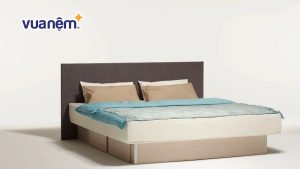 Đệm nước là đệm gì? Một số đệm nước cho người bệnh phổ biến