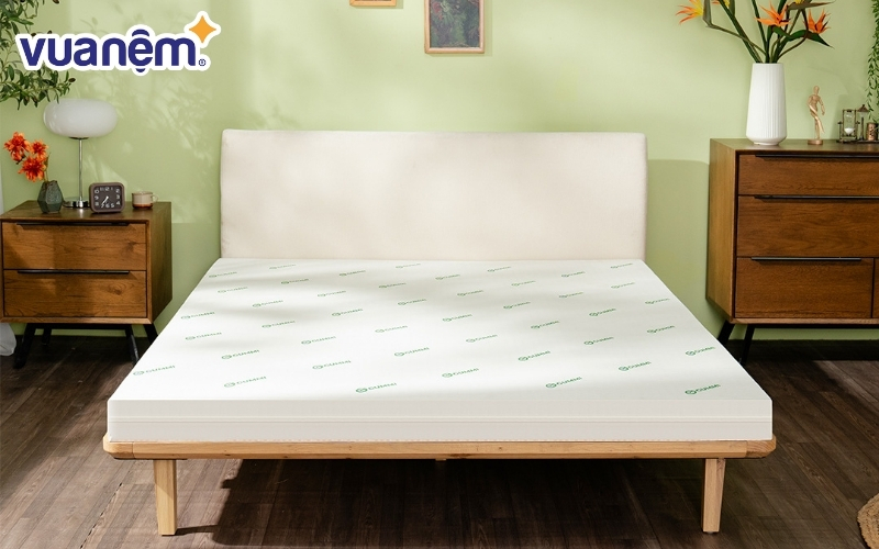 Nệm cao su với độ đàn hồi cao đem lại sự hỗ trợ thoải mái và thoáng mát tuyệt vời. 