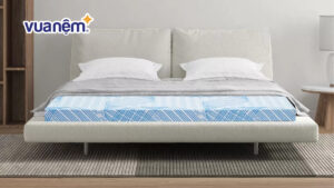 Top 8 nệm giá rẻ dưới 5 triệu mà bạn không nên bỏ lỡ