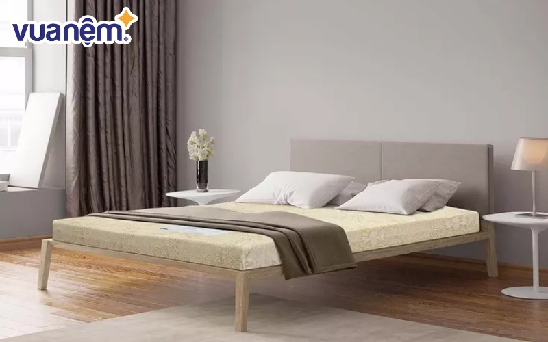 Nệm foam Goodnight Eva