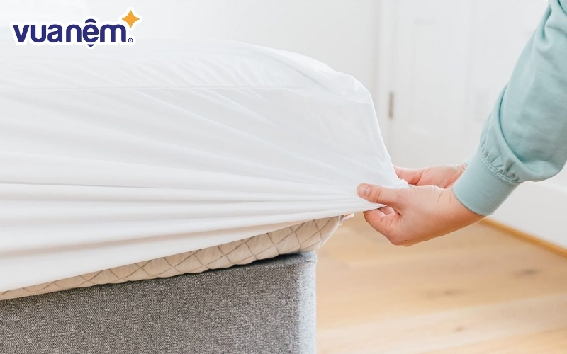 Vải bọc nệm cotton được rất nhiều thương hiệu yêu thích sử dụng cho sản phẩm của mình