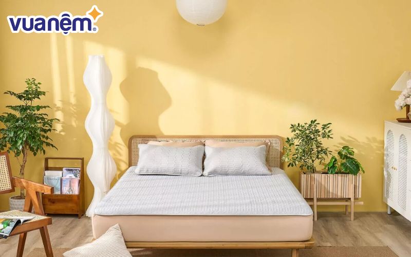 Chiếu điều hòa nào tốt - Chiếu Doona Aqua
