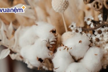 Hướng dẫn phân biệt gòn tơi, gòn bi, gòn tấm, gòn cuộn