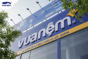 Công bố thông tin về kết quả phát hành trái phiếu Công ty CP Đầu tư Vua Nệm