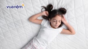 Bảng giá nệm Everon chính hãng mới nhất năm 2025