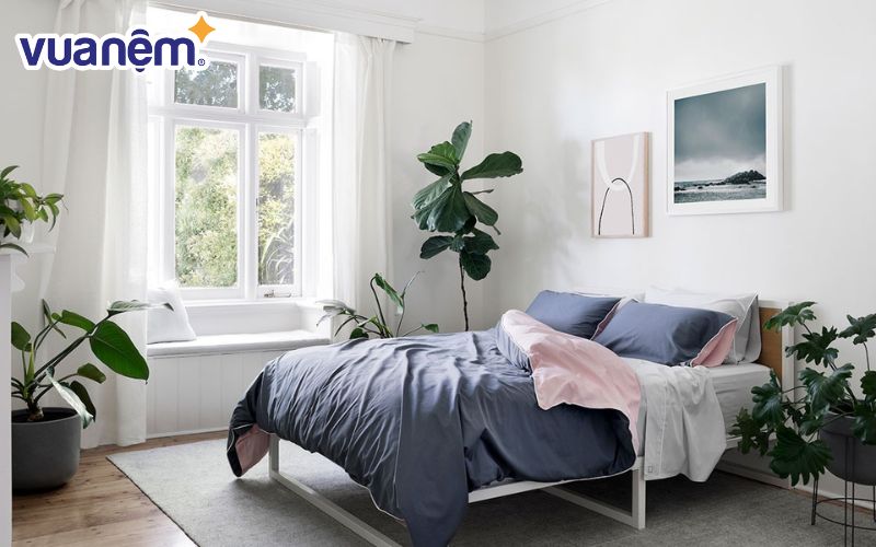 Bố trí cây xanh hợp phong thủy để cân bằng năng lượng