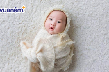 vận mệnh gia hưng