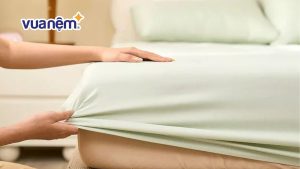 Top 10 địa chỉ bán áo bọc nệm Đà Nẵng uy tín, giá tốt
