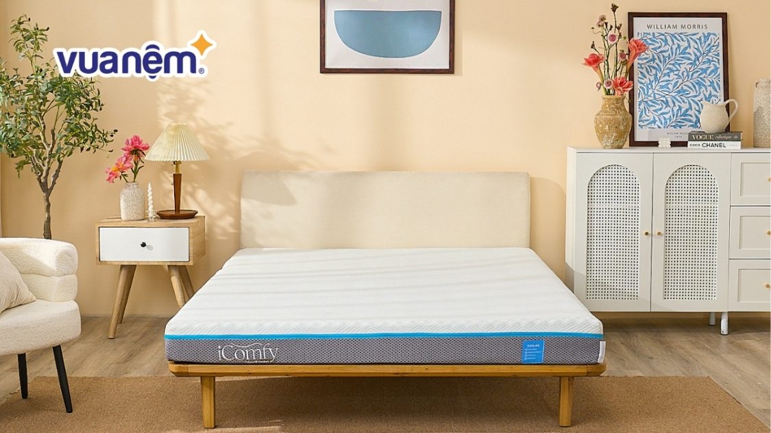 Nệm tiếng Anh là gì? Những thuật ngữ ngành nệm nên biết?