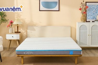 Nệm tiếng Anh là gì? Những thuật ngữ ngành nệm nên biết?