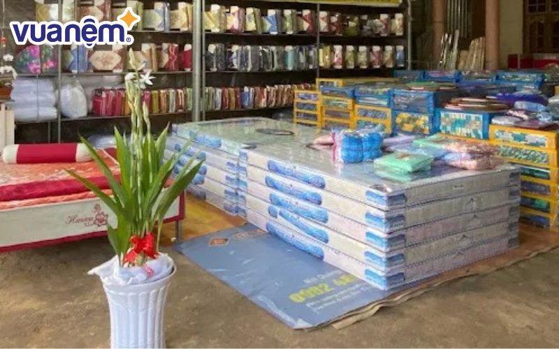 Đại lý nệm Kim Cương Buôn Ma Thuột - Trung Hiếu