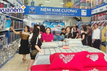đại lý nệm Kim Cương Hải Phòng