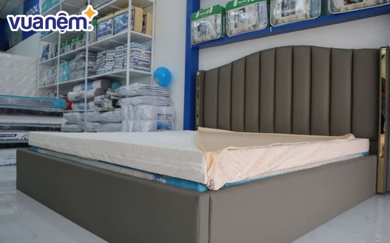 Đại lý nệm Kim Cương Mỹ Tho - Kim Dung
