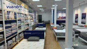 Top 5 đại lý nệm Kim Cương Quy Nhơn chính hãng, giá tốt