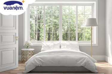 đại lý nệm kim cương tại tân phú