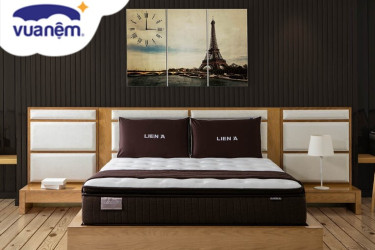 đại lý nệm liên á tại tây ninh