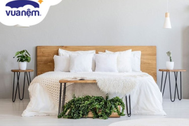 đại lý nệm vạn thành tại bến tre