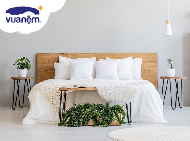 đại lý nệm vạn thành tại bến tre