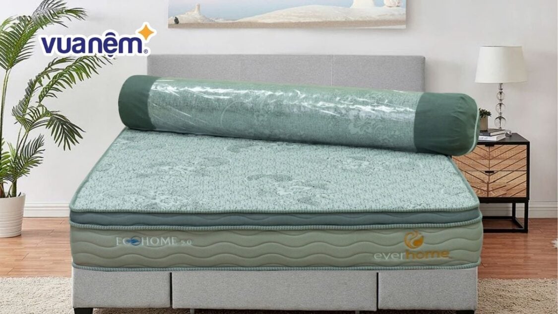 nệm lò xo hút chân không