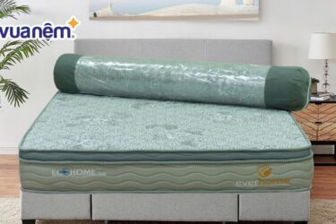 nệm lò xo hút chân không