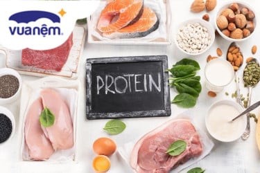 protein là gì