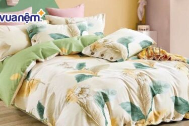 chăn ga gối đệm cotton