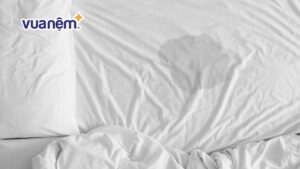 Nệm cao su có thấm nước không? Cách xử lý nệm cao su bị ướt