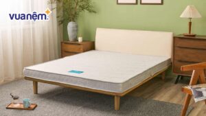 Top 5 mẫu nệm bông ép 1m4x2m tốt kèm bảng giá