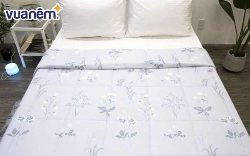 Chăn chần Amando Silky