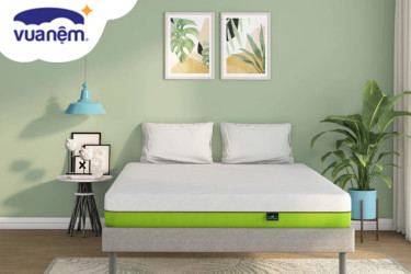 nệm cao su dưới 3 triệu