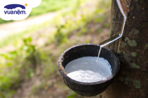 Công nghệ sản xuất cao su Dura Aire Dunlopillo là gì?