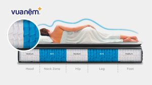Khám phá công nghệ lò xo IPS 5-zone System