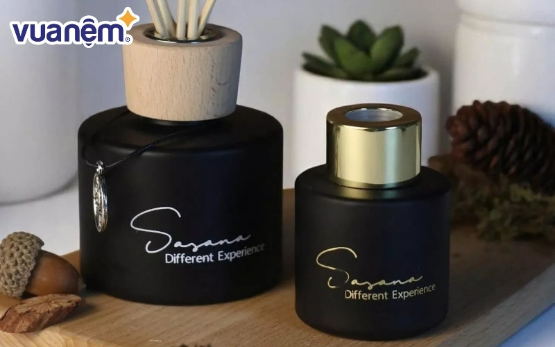 Bạn có thể dùng hỗn hợp dầu khuynh diệp và để loại bỏ ký sinh trùng khỏi nệm