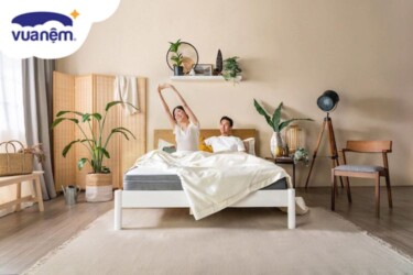 nệm bông ép vạn thành 1m8