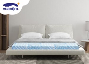 Nệm cao su Vạn Thành kích thước 1m4x2m giá bao nhiêu?