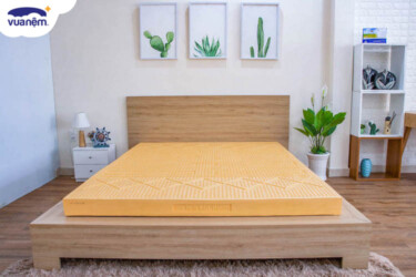 nệm cao su vạn thành 5cm
