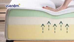 Nệm foam là gì? Đánh giá ưu, nhược điểm của nệm foam?