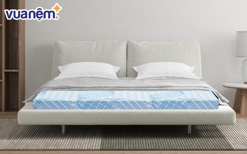 Tìm hiểu về đệm Kim Cương 1m