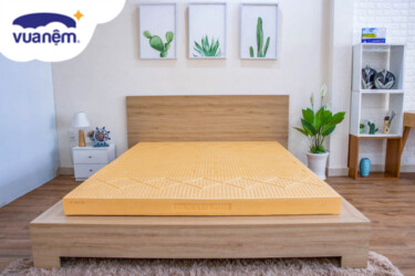 nệm vạn thành dày 20cm