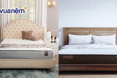 so sánh nệm kingkoil và nệm liên á