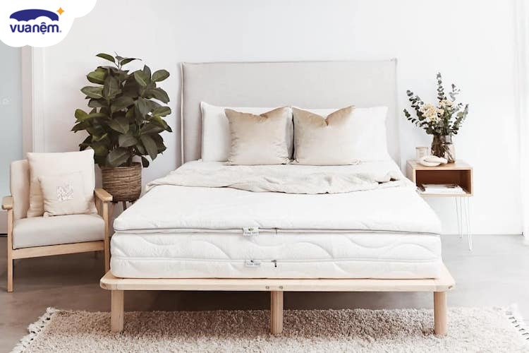 tại sao nệm đắt tiền