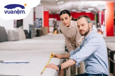 so sánh nệm bông ép Edena và bông ép Cusino