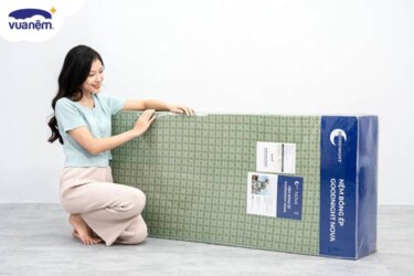 nệm bông ép Edena và bông ép Goodnight