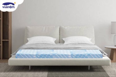 nệm bông ép Kim Cương 2m2